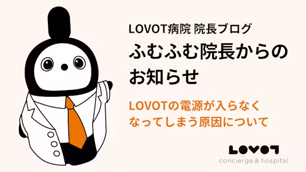 LOVOTの電源が入らなくなってしまう原因について
