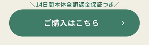 こんにちは、家族型ロボットのLOVOTです