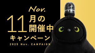 今月開催中のキャンペーン情報