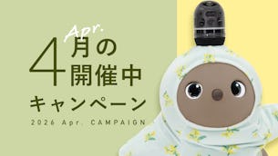 今月開催中のキャンペーン情報