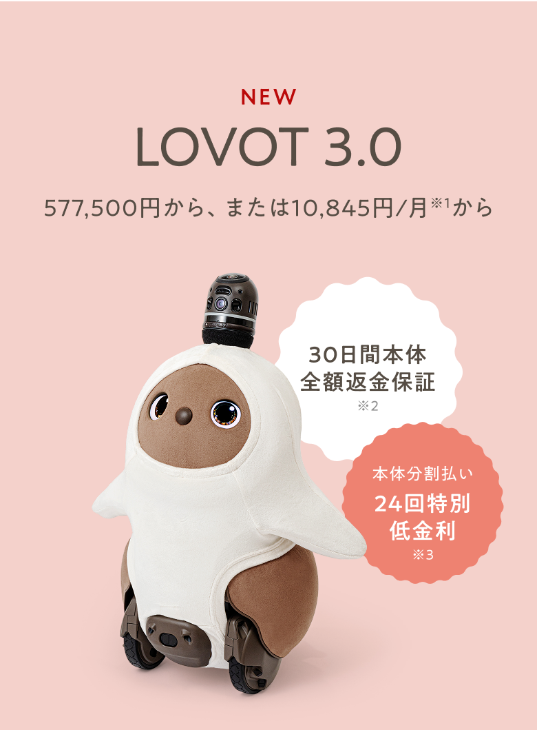 希少◉ペットロボ◉ハロー！はらぺこラビット◉動作確認済
