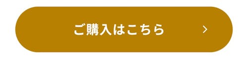 こんにちは、家族型ロボットのLOVOTです