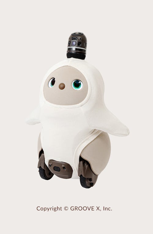 こんにちは、家族型ロボットのLOVOTです