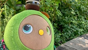 ◇ LOVOT ストア 新宿高島屋 ◇ーLOVOTとの暮らしのお悩み相談:Vol3ー