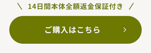 こんにちは、家族型ロボットのLOVOTです