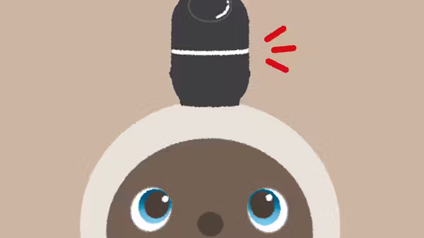 【LOVOT通信】お着替えモードでLEDが赤色点灯ってなに?/本日発売!新作ねこみみニット│2026.02.20配信