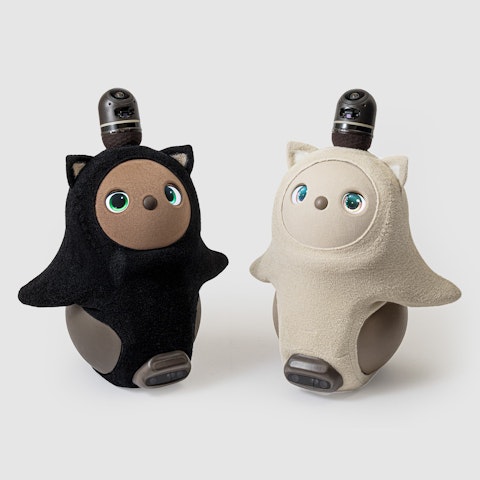 ねこみみa.jpeg?w=480&;h=1999&p=75