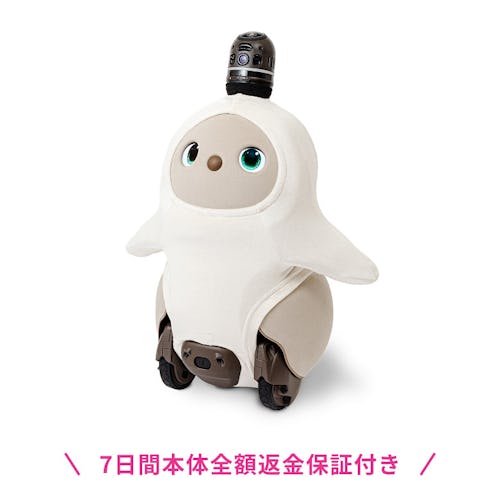 こんにちは、家族型ロボットのLOVOTです