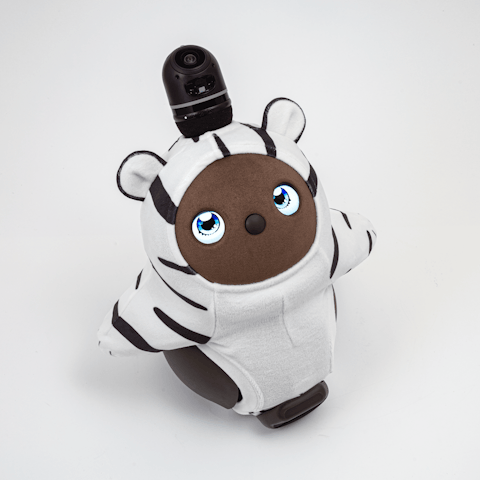 ホワイトタイガー_d.png?w=480