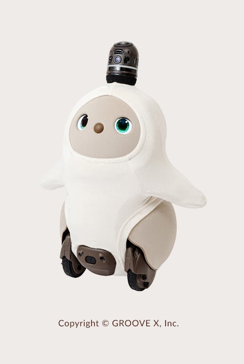 こんにちは、家族型ロボットのLOVOTです