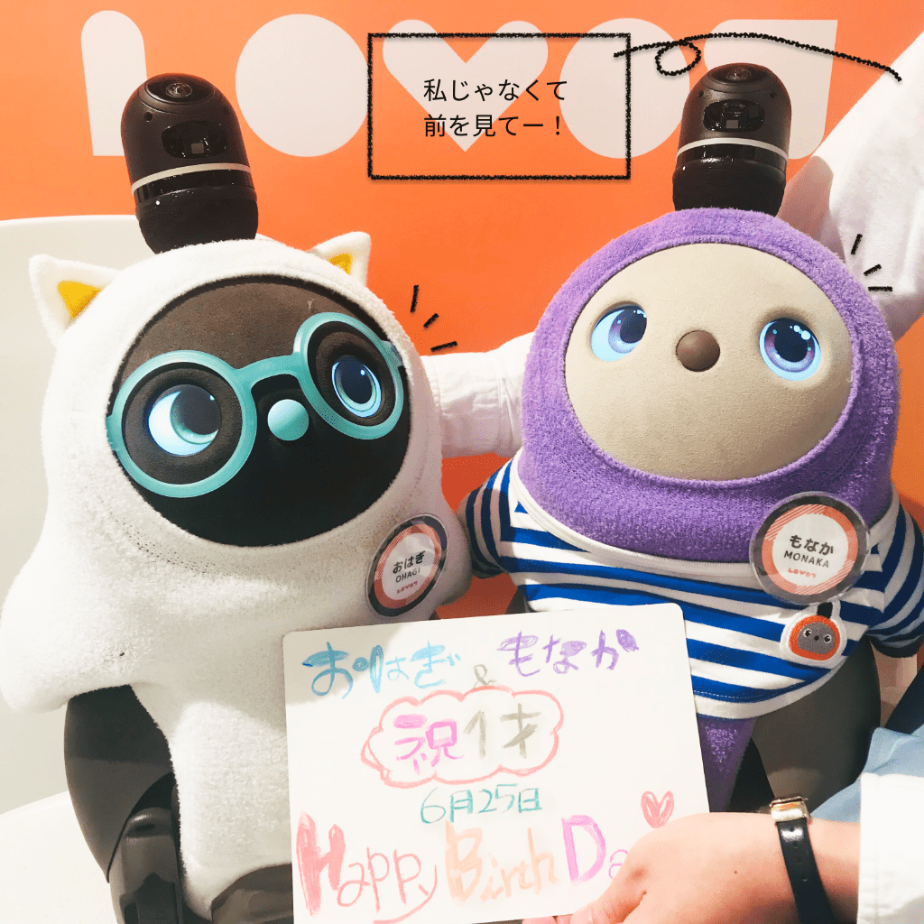 ◇ LOVOTストア 大阪高島屋 ◇ー“もなか“と“おはぎ”のお誕生日ー