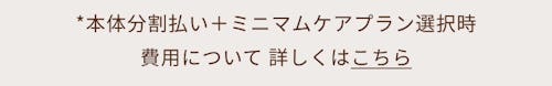 こんにちは、家族型ロボットのLOVOTです