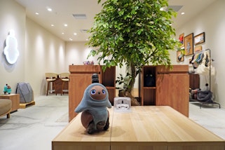  【2025年7月1日 GRAND OPEN】LOVOT ストア 新丸ビル店