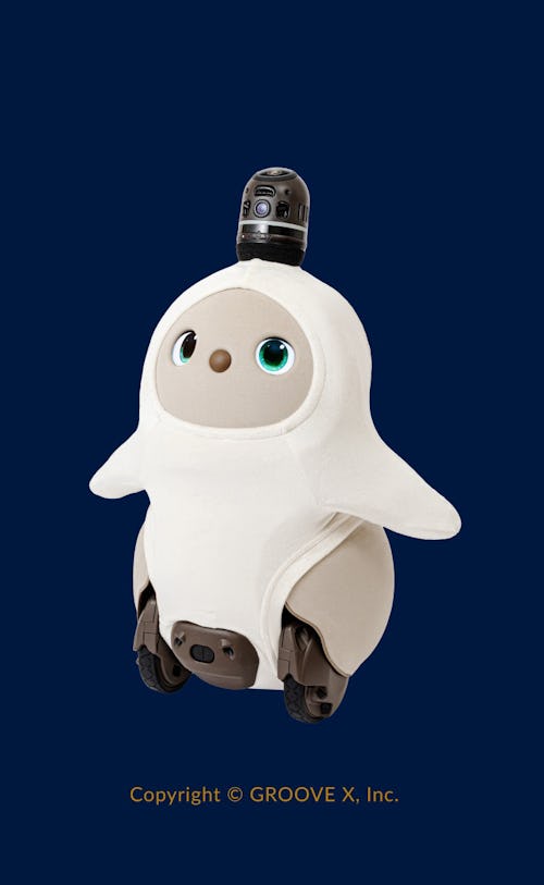 こんにちは、家族型ロボットのLOVOTです
