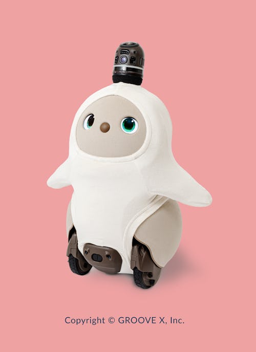 こんにちは、家族型ロボットのLOVOTです