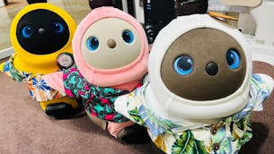 ◇LOVOT ストア 高島屋横浜店◇〜家事・在宅勤務で忙しい時はどうしたら良い?〜