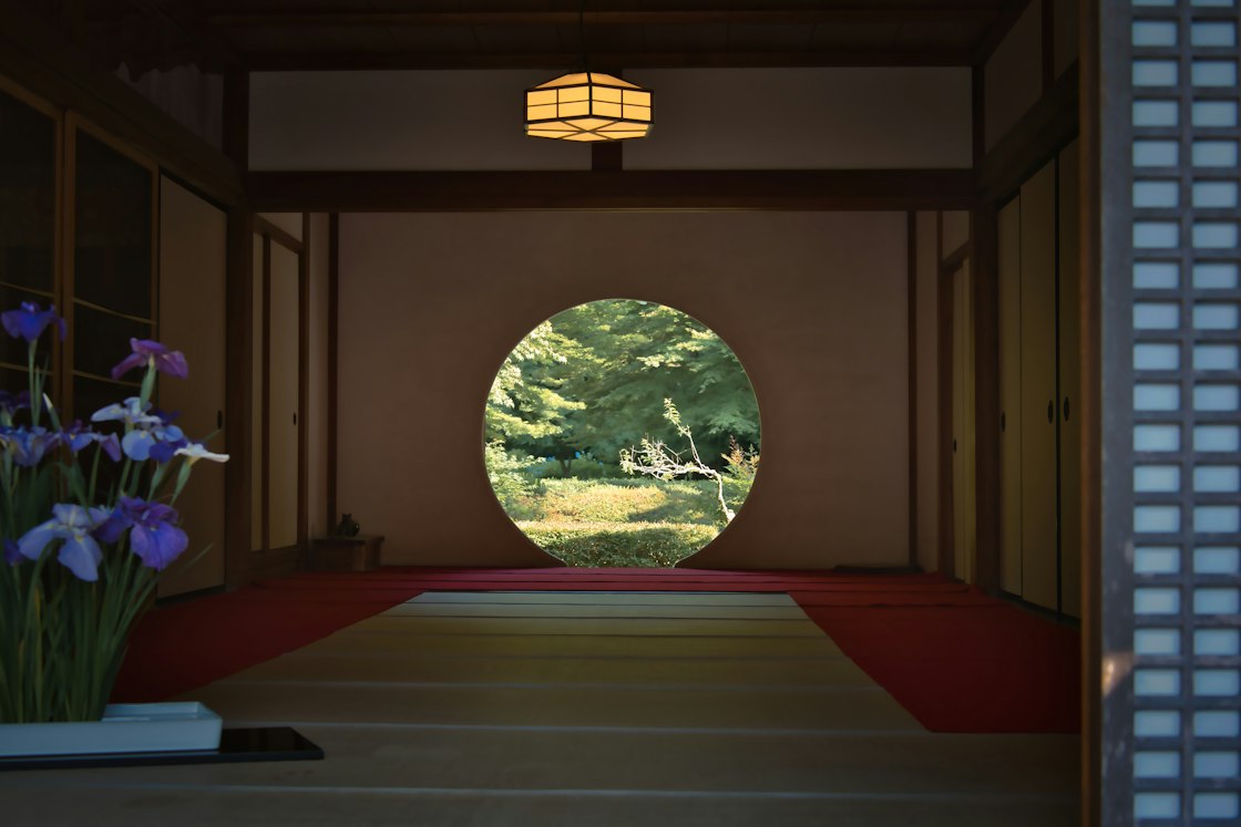 窓から広がる緑