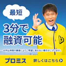 プロミス バナー画像