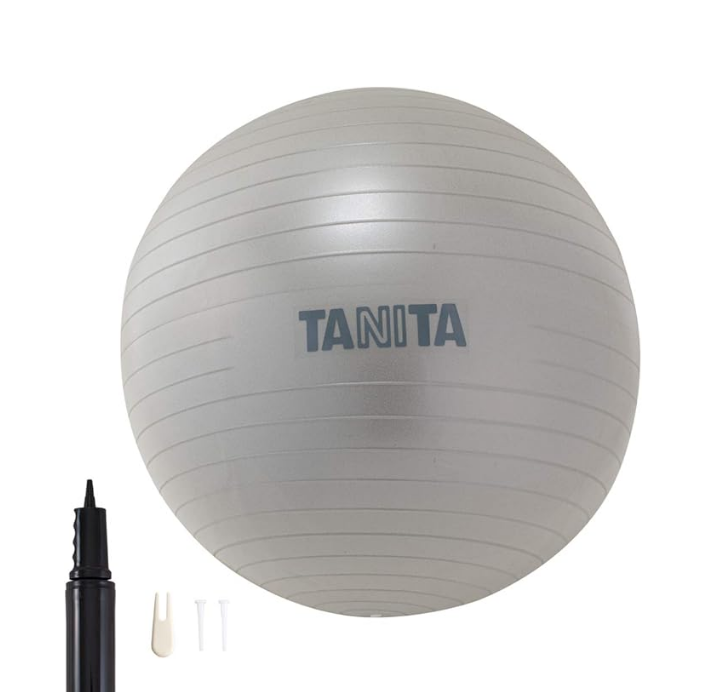 タニタ(Tanita) サイズ ジムボール TS-962 シルバー