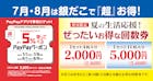 夏の回数券×PayPay