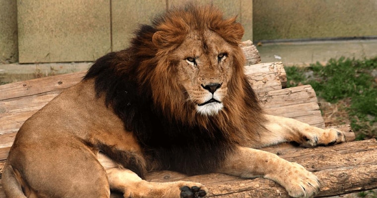 テスト２リンク付き