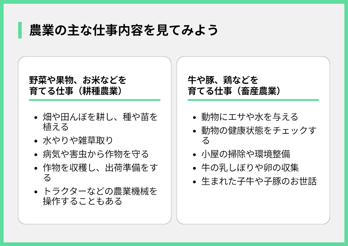 農業の主な仕事内容を見てみよう