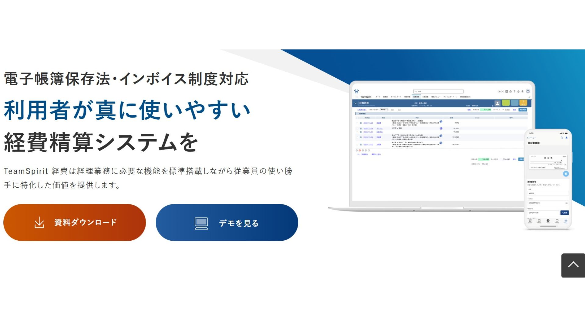TeamSprit　経費