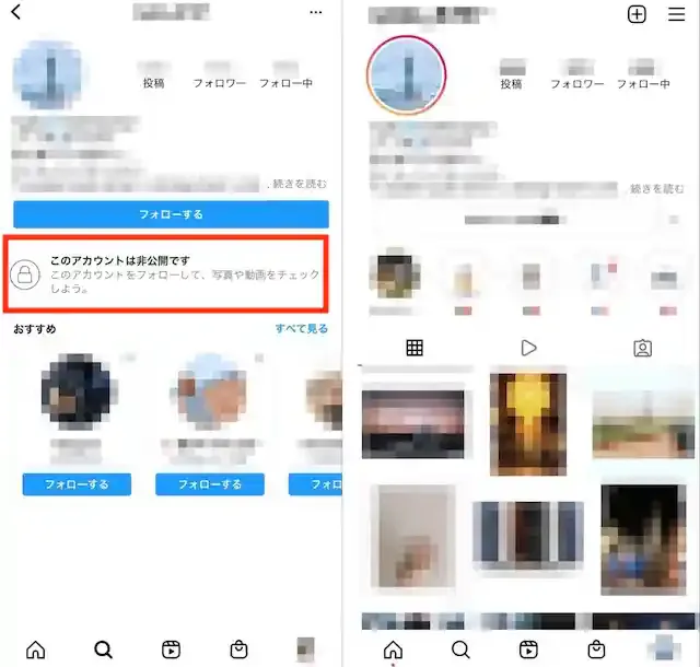 グリーニュースプラス編集部