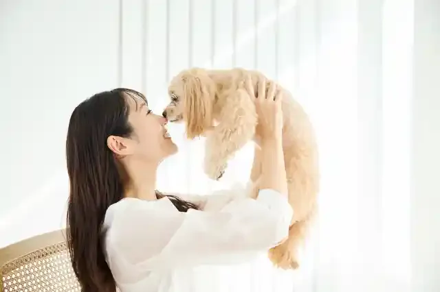 【2023年最新】半生タイプのドッグフードおすすめ6選|シニア犬や小型犬にも