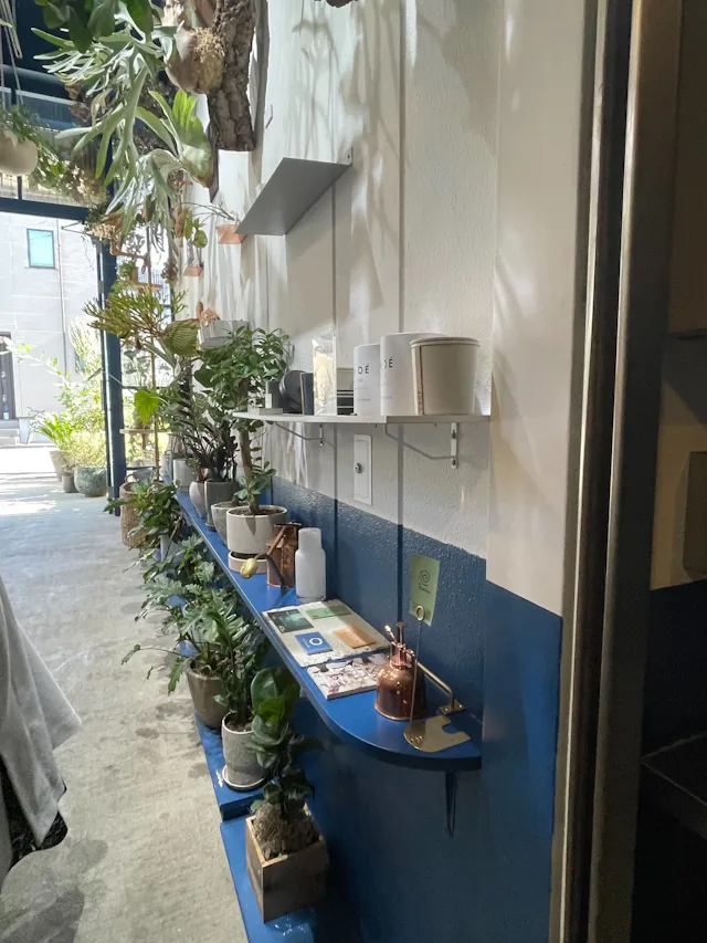 グリーニュースプラス編集部