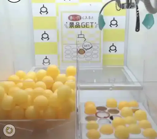 グリーニュースプラス編集部