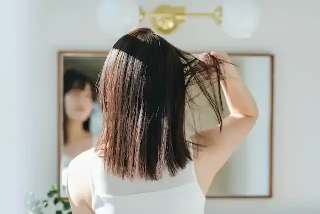 stock.adobe.com
