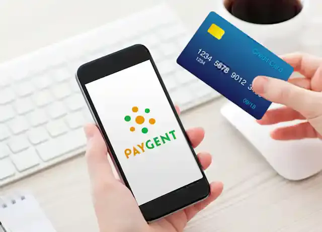 paygent.co.jp