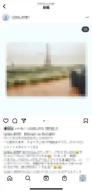 グリーニュースプラス編集部