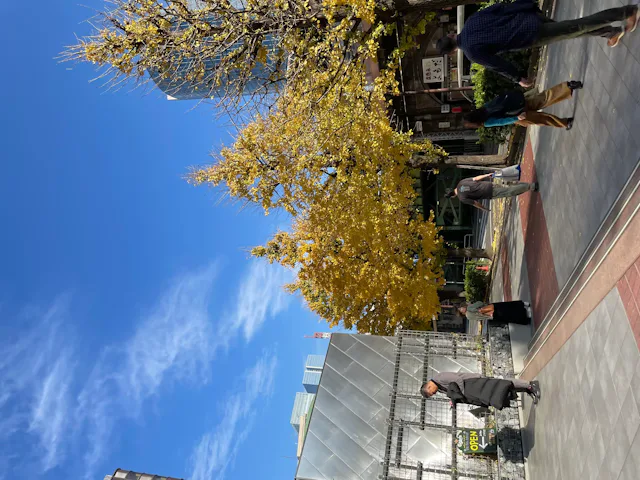 グリーニュースプラス編集部