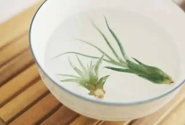 グリーニュースプラス編集部