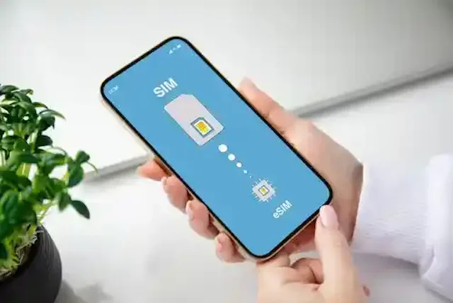 Shutterstock