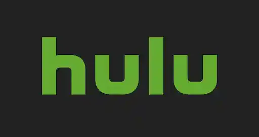 Huluチケットとは?タイプ別購入方法と使い方!注意点も紹介