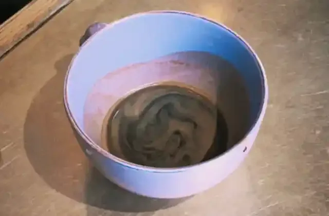 グリーニュースプラス編集部