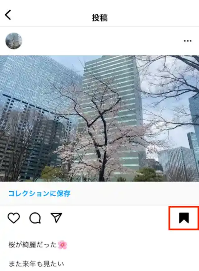www.instagram.com
