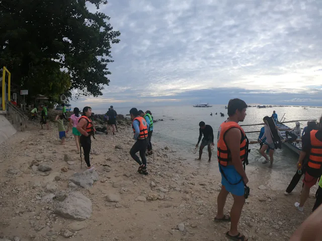 グリーニュースプラス編集部