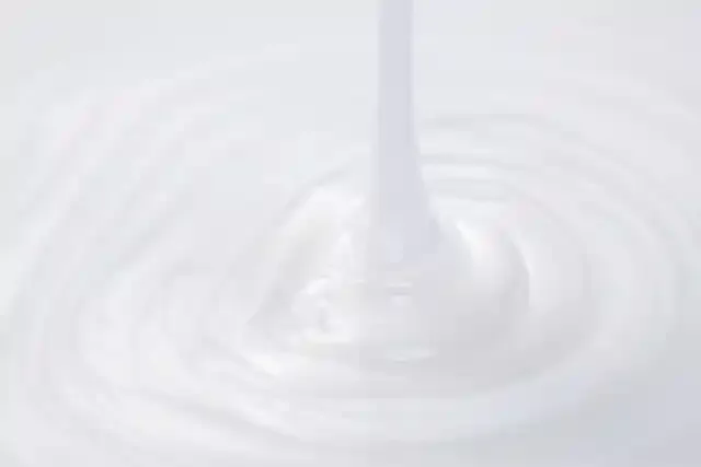 stock.adobe.com