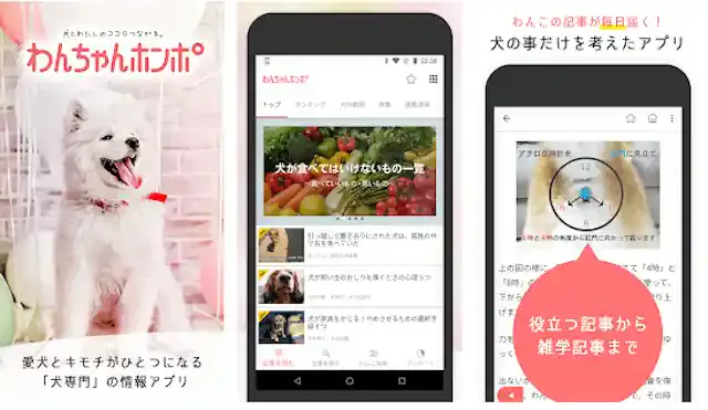 わんちゃんホンポ