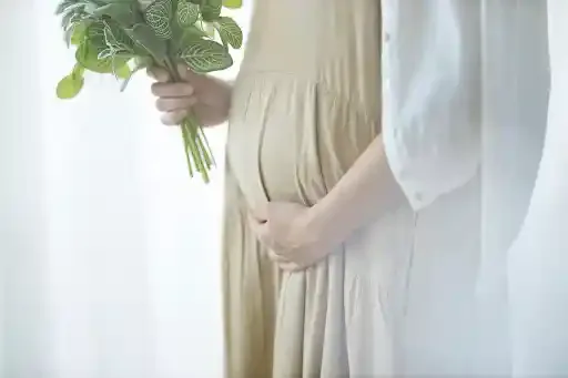 妊娠・妊活に役立つ!妊娠アプリのおすすめ5選をご紹介