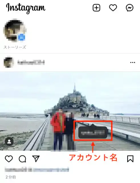 グリーニュースプラス編集部