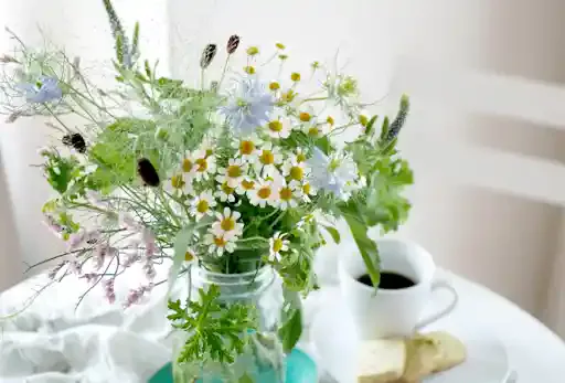 kumpu-day-flowers.com