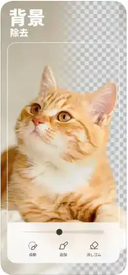 BeautyPlus公式ストア