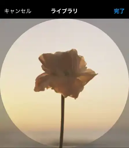 グリーニュースプラス編集部