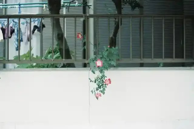 グリーニュースプラス編集部