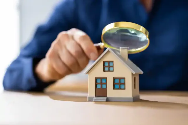 shutterstock.com